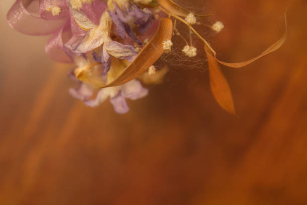 istock dried flowers soft focus 1080035156