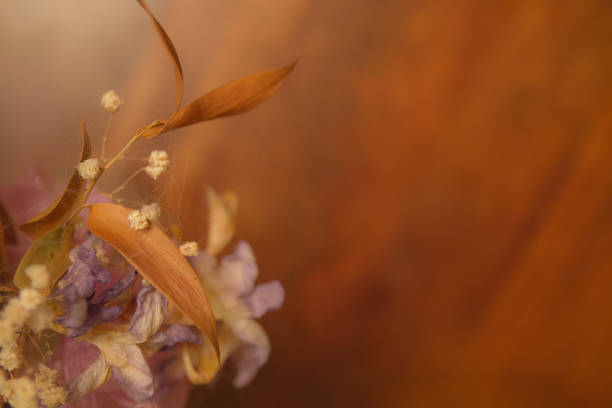 istock dried flowers soft focus 1080035226