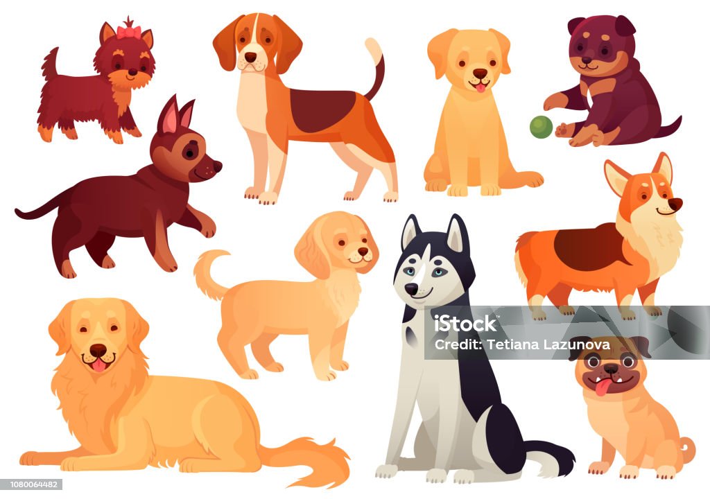 Cartoon puppy and dog. Happy puppies with smiling muzzle, loyal dogs and friendly dog isolated vector set Cartoon puppy and dog. Happy puppies with smiling muzzle, loyal dogs and friendly dog. Husky, corgi and pug doggy pedigree expression character isolated vector icons set Vector stock vector