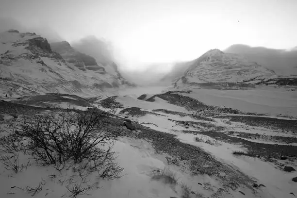 Frozen Winter at Lake Louise