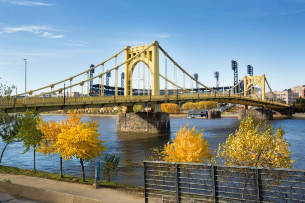 Yellow bridges and fall foliage of Pittsburgh, Pennsylvania. View of the Roberto Clemente Bridge over the Allegheny River in Pittsburgh, Pennsylvania, in autumn. sixth street bridge stock pictures, royalty-free photos & images