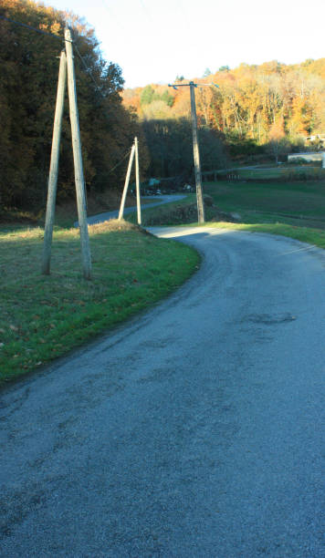 istock Winding country road lined with utility poles 1080076682