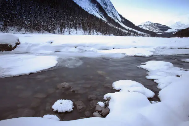 Fresh Frozen Creek in Jasper National Park