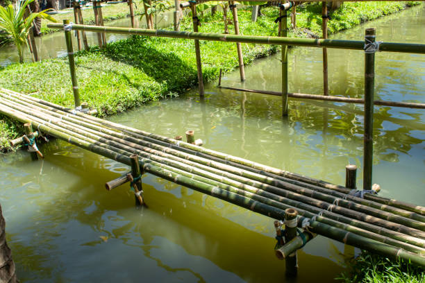 istock Bamboo bridge over the canal in orchard. 1080080944