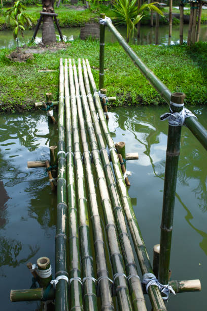 istock Bamboo bridge over the canal in orchard. 1080081024