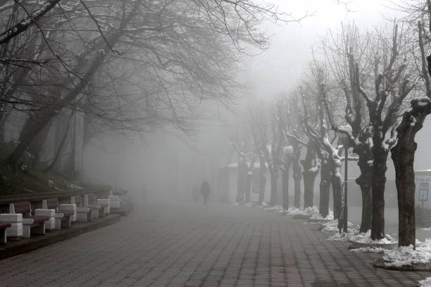 istock People walking by misty road in the park 1080083366