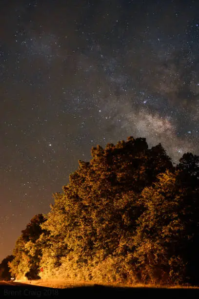 A car lights up the trees in front of the Milky Way.