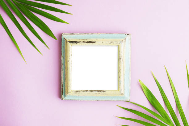 flat lay top view photo frame with two green palm leaves on bright pink background. tropical mock up - 2359 imagens e fotografias de stock