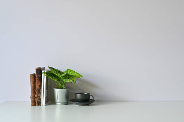 istock Coffee cup, plant and books on workspace with office desk copy space. 1080103064