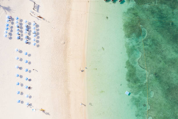 istock White sand beach and clear ocean landscape 1080103516