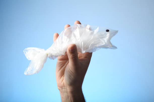 istock The destruction of ocean life, fish from plastic trash 1080107036