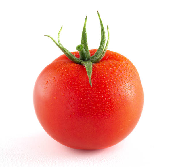 tomate, die isoliert auf weißem hintergrund - evolution progress unripe tomato stock-fotos und bilder