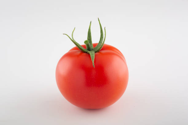 tomate, die isoliert auf weißem hintergrund - evolution progress unripe tomato stock-fotos und bilder