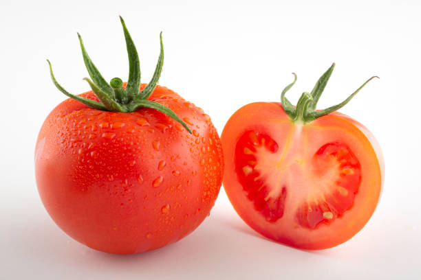 흰색 배경에 고립 된 토마토 - evolution progress unripe tomato 뉴스 사진 이미지