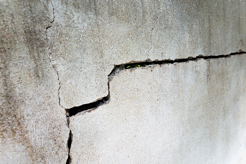 A crack in the cement wall.