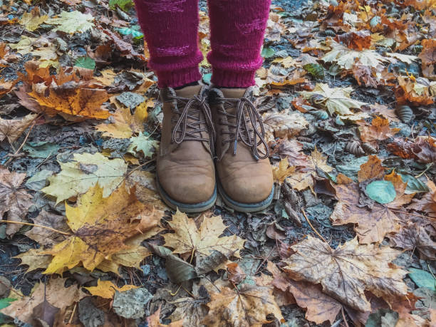 istock Standing On Brown Autumn Leaves From Above 1080127032