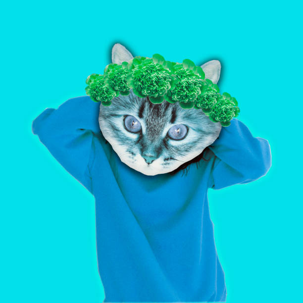 istock Hipster cat in trendy pullover clothes with flower wreath on head 1080144472