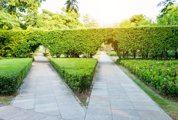 istock Green forked road in formal garden 1080146602