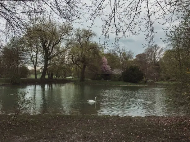 Photo of Artificial river flowing thru the English garden famous city park in Munich