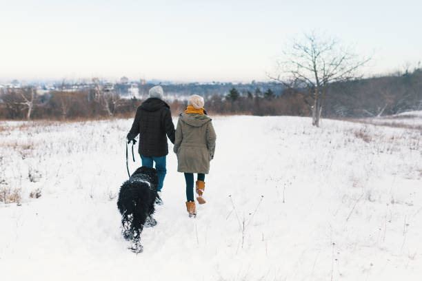 istock A couple enjoying winter while walking their big black dog havin 1080154074