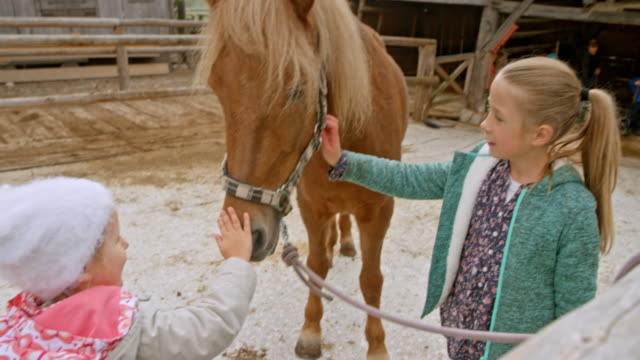 Girls petting a horse in the pen at the ranch