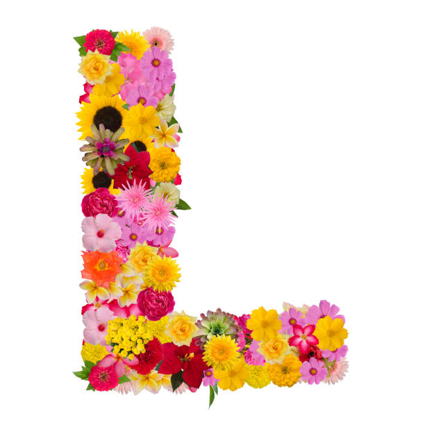 istock Letter L alphabet with flower ABC concept type as logo 1080164242