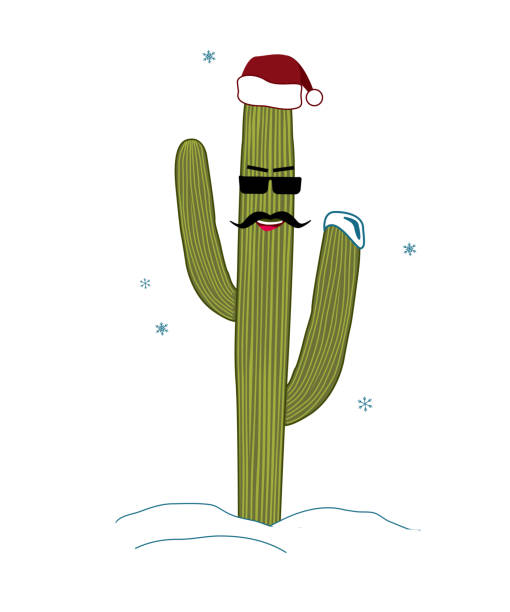 istock Christmas in tropical climate concept. Cactus as hipster Christmas tree with Santa hat 1080165600