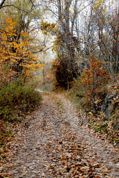 istock beautiful nature in autumn 1080166060