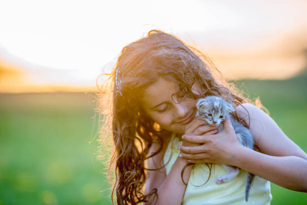 istock Girl holding up kitten 1080168170