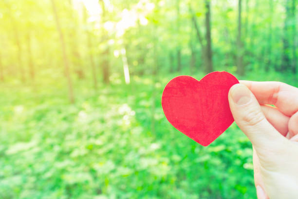 istock Closeup leaf like a heart shape in the forest 1080170398