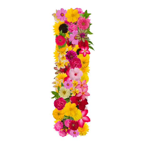 istock Letter I alphabet with flower ABC concept type as logo 1080171074