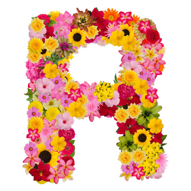 istock Letter R alphabet with flower ABC concept type as logo 1080174252