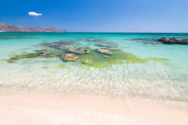 istock The Elafonissi Beach with crystal clear water. 1080175100