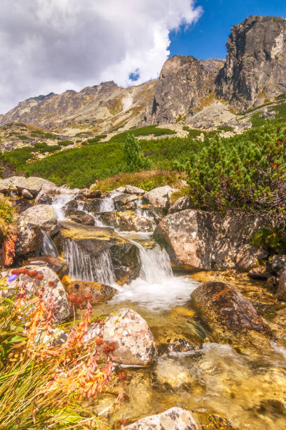 istock Waterfall on a stream, High Tatras National Park. 1080175166