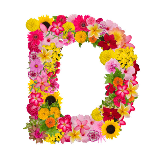 istock Letter D alphabet with flower ABC concept type as logo 1080176860