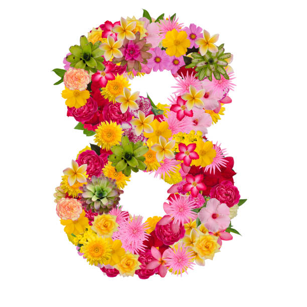 istock Number 8 made from flower isolated on white background. 1080180018