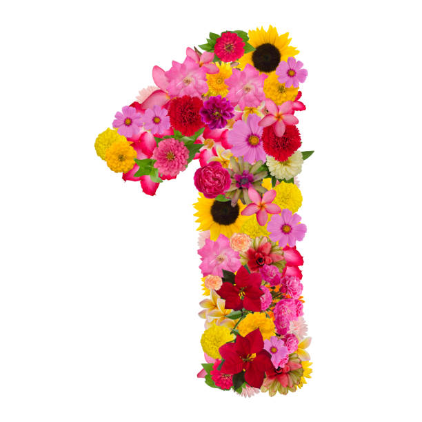 istock Number 1 made from flower isolated on white background. 1080181506