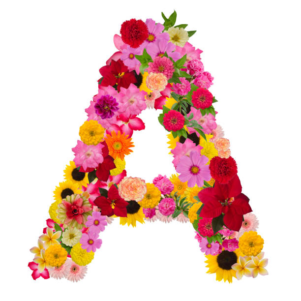 istock Letter a alphabet with flower ABC concept type as logo 1080182068