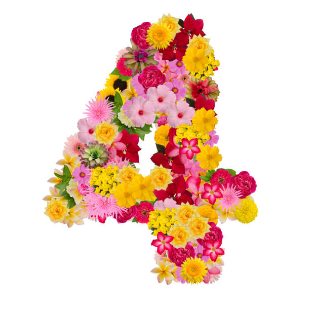 Number 4 made from flower  isolated on white background. With clipping path