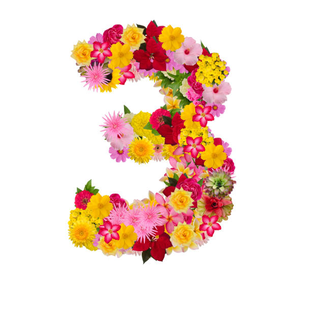 Number 3 made from flower isolated on white background. Number 3 made from flower isolated on white background. With clipping path adenium obesum photos stock pictures, royalty-free photos & images