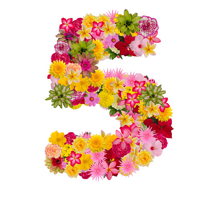 Number 5 made from flower isolated on white background. With clipping path