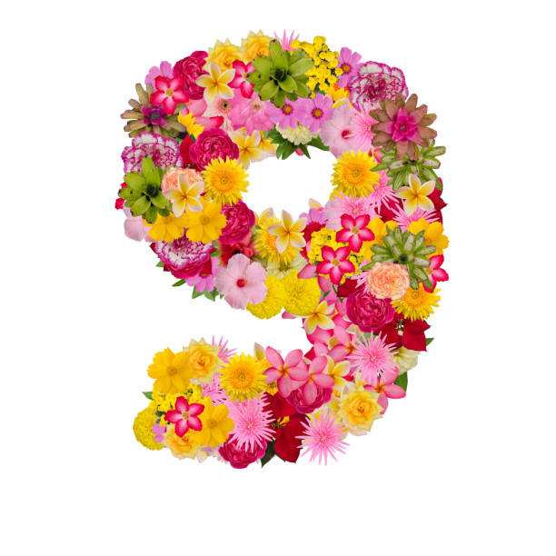 istock Number 9 made from flower isolated on white background. 1080185364