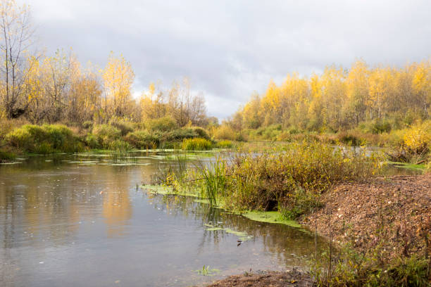 istock Beautiful autumn nature 1080187124