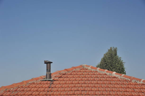 red roof with chimney  against blue sky and tree