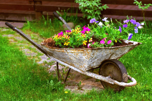 古い錆びた手押し車花壇のカラフルな花の庭の装飾 - rickety ストックフォトと画像