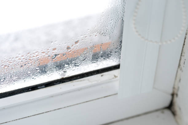 istock Double glazed PVC window Condensation on the glass 1080193596