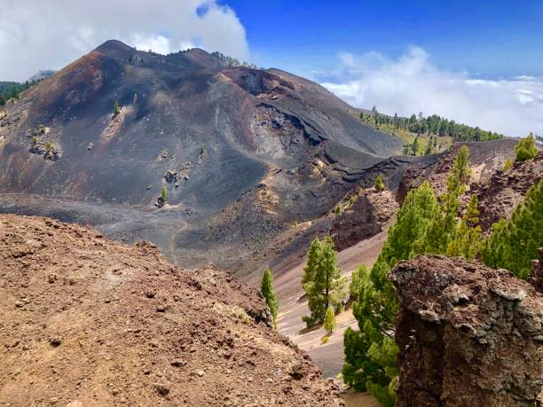 istock Canary Island Landscape 1080193836