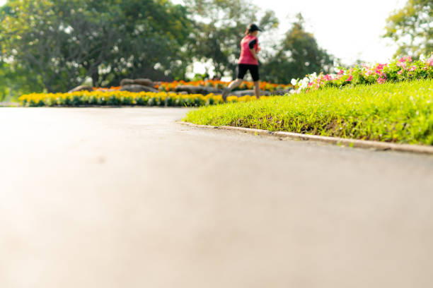 トレーニングをジョギング サンセットの時間を公園で屋外を走るスポーツ女性運動コピー スペース、マラソンや運動の概念と概念のヘルシーです。 - single lane road footpath flower formal garden ストックフォトと画像