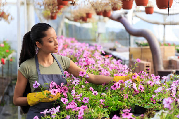 istock Asian female worker in garden center 1080198132