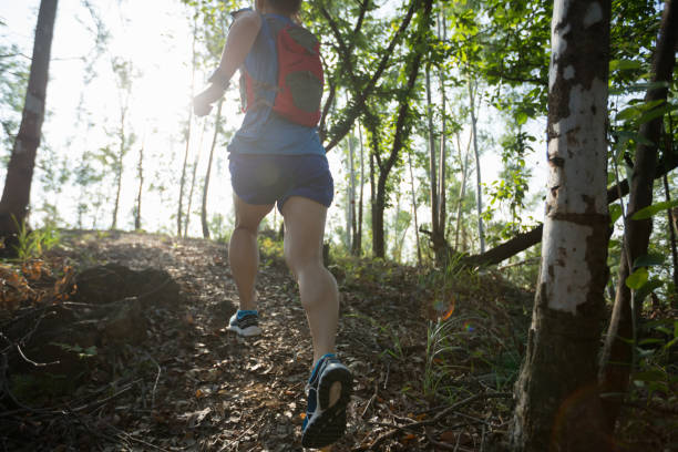 istock Woman trail runner running in forest 1080198998